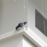 Mosquito Net Installation